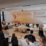 Confira as fotos da Apimondia 2025 1