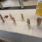 Confira as fotos da Apimondia 2025 44